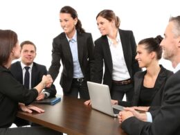 Business Lawyer