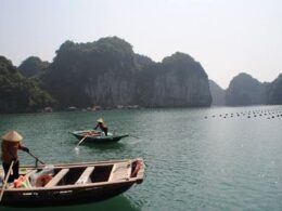 Visit in Asia