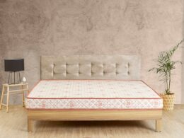 Sleep Mattress Revital 2.0