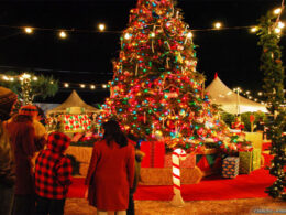 Christmas-Celebration-in-India