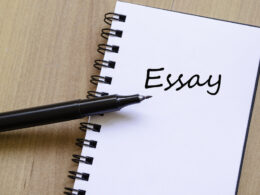 Essay