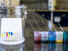 paper chromatography