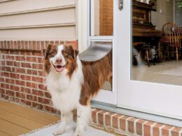 patio pet doors
