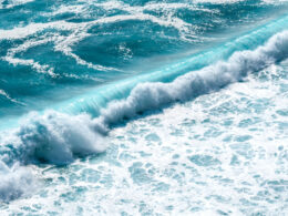 salt water