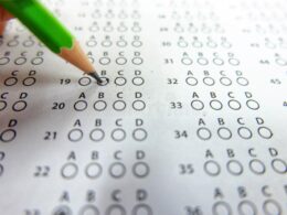 What are the different levels in SCAT test
