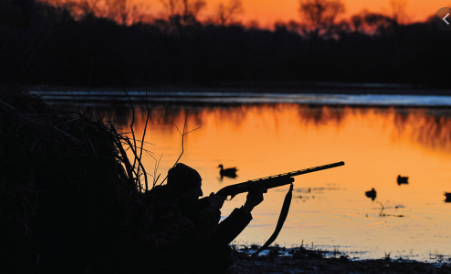 hunting