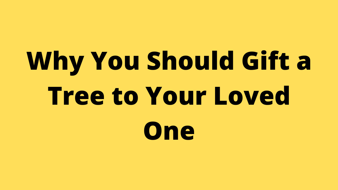 Gift a Tree